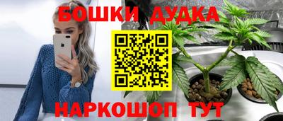 МДПВ Донской