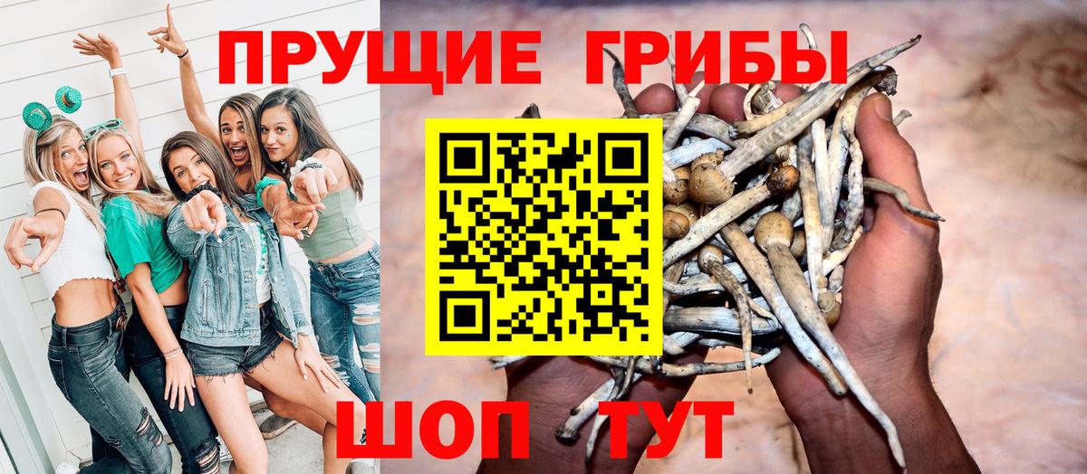 Галлюциногенные грибы прущие грибы  Вход с VPN  дарнет шоп  Мирный 